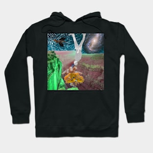 surreal canyon Hoodie